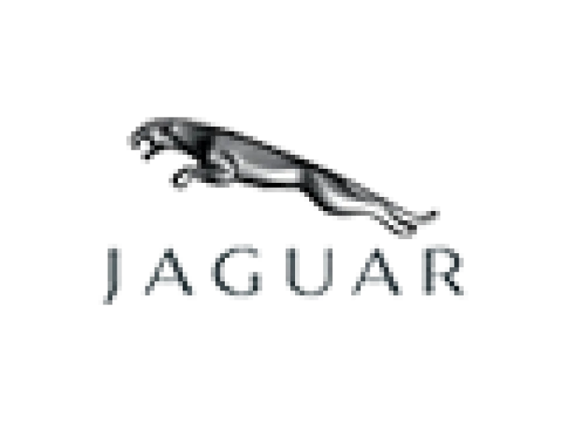 Jaguar Jaguar
